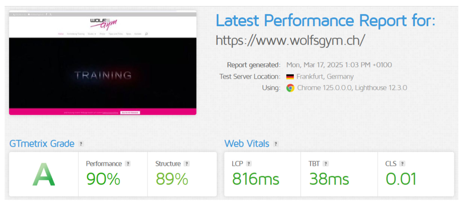 GTmetrix report for Wolfs Gym